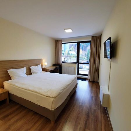 Studio Mountain View Sinaia Ngoại thất bức ảnh