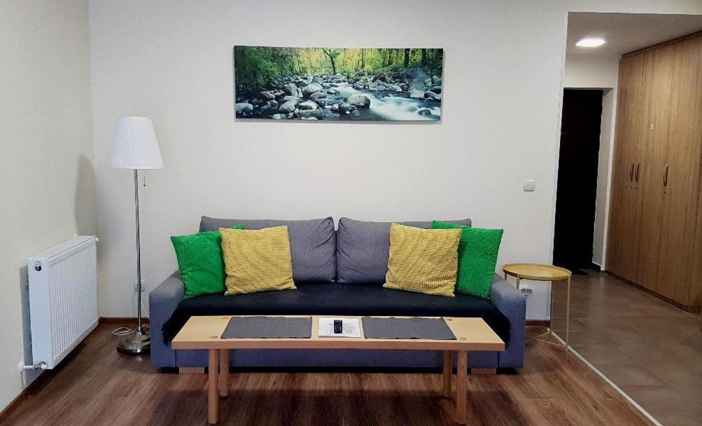 Studio Mountain View Sinaia Ngoại thất bức ảnh