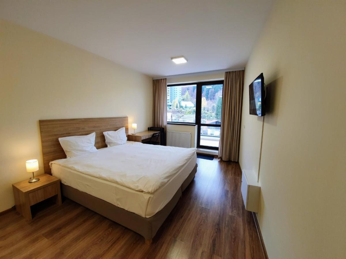Studio Mountain View Sinaia Ngoại thất bức ảnh