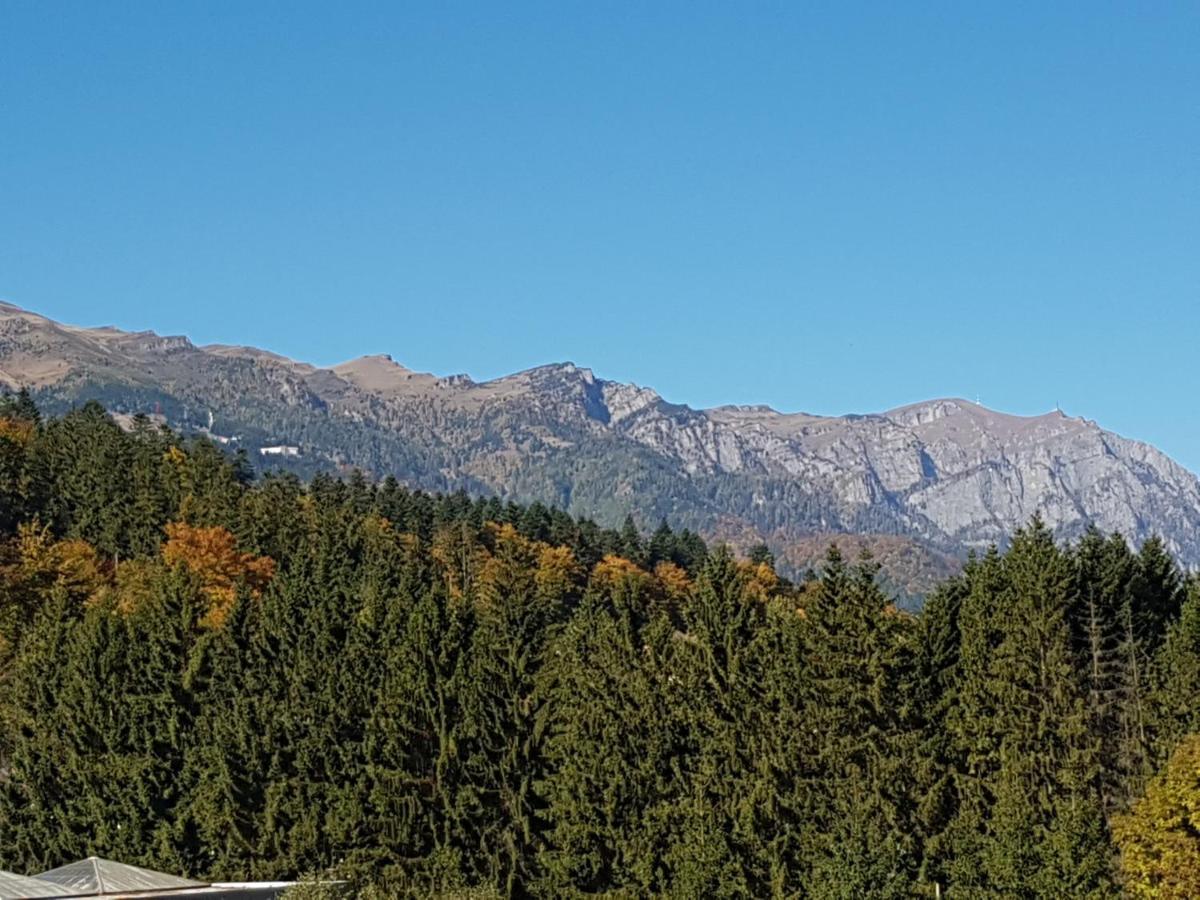 Studio Mountain View Sinaia Ngoại thất bức ảnh