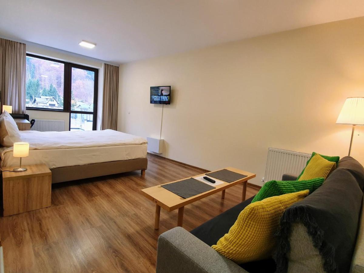 Studio Mountain View Sinaia Ngoại thất bức ảnh