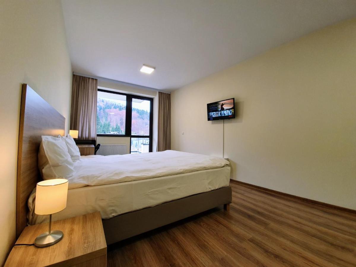 Studio Mountain View Sinaia Ngoại thất bức ảnh